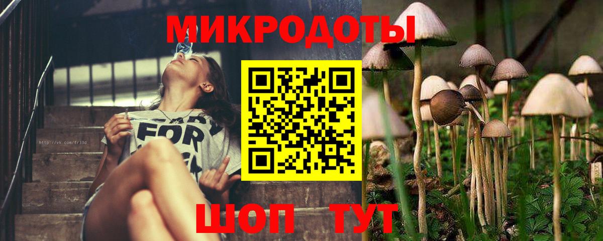 Псилоцибиновые грибы Psilocybe  Вход с VPN  Сафоново 